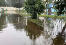 Tamil Nadu: Heavy rainfall triggers waterlogging in several parts of Thoothukudi