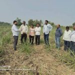 परभणी : ट्वेंटीवन शुगर्स मार्फत जागतिक मृदा दिन उत्साहात साजरा