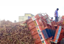 मध्य प्रदेश: हाईवे पर गन्ना ले जा रही ट्रैक्टर ट्रॉलियां पलटीं, 11 घंटे तक ट्रैफिक जाम