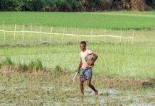Decision on fixed cost urea framework is in last leg, likely by year-end: Fertiliser Secy