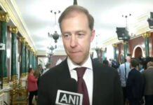Diversification, investment cooperation key to USD 100 billion trade goal with India: Russian Deputy PM