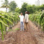 India, Israel sign agreement to boost sustainable agricultural technologies