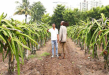 India, Israel sign agreement to boost sustainable agricultural technologies