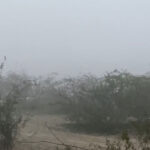 Thick fog clouds visibility of Taj Mahal, multiple cities in UP grapple with dense fog