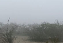 Thick fog clouds visibility of Taj Mahal, multiple cities in UP grapple with dense fog