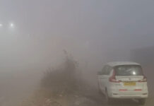 Cold Wave Intensifies in Rajasthan; heavy fog reduces visibility in Jaipur