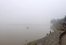 Dense fog, cold day conditions continue in Punjab, Haryana; max temperatures remain below normal: IMD Chandigarh