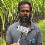 Tamil Nadu: Bumper sugarcane harvest brings cheer to farmers in Trichy ahead of Pongal