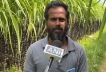 Tamil Nadu: Bumper sugarcane harvest brings cheer to farmers in Trichy ahead of Pongal