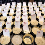 Trump’s tariff warning on Iran trade raises concerns for Indian rice exporters: IREF