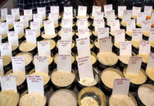 Trump’s tariff warning on Iran trade raises concerns for Indian rice exporters: IREF