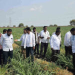 ट्वेंटीवन शुगर्स – गन्ना मास्टरच्या ‘शिवार फेरी’तून ऊस उत्पादकांना एकात्मिक व्यवस्थापनाचे धडे