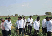 ट्वेंटीवन शुगर्स – गन्ना मास्टरच्या ‘शिवार फेरी’तून ऊस उत्पादकांना एकात्मिक व्यवस्थापनाचे धडे