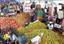 Wholesale inflation in country rises to 1.81% in January