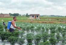 Fertiliser imports at risk ahead of sowing season, 26% sourced from current hotspot West Asia: CareEdge Report