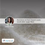 Decisions on fuel import costs could alter sugar floor