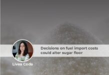Brazil: Decisions on fuel import costs could alter sugar floor